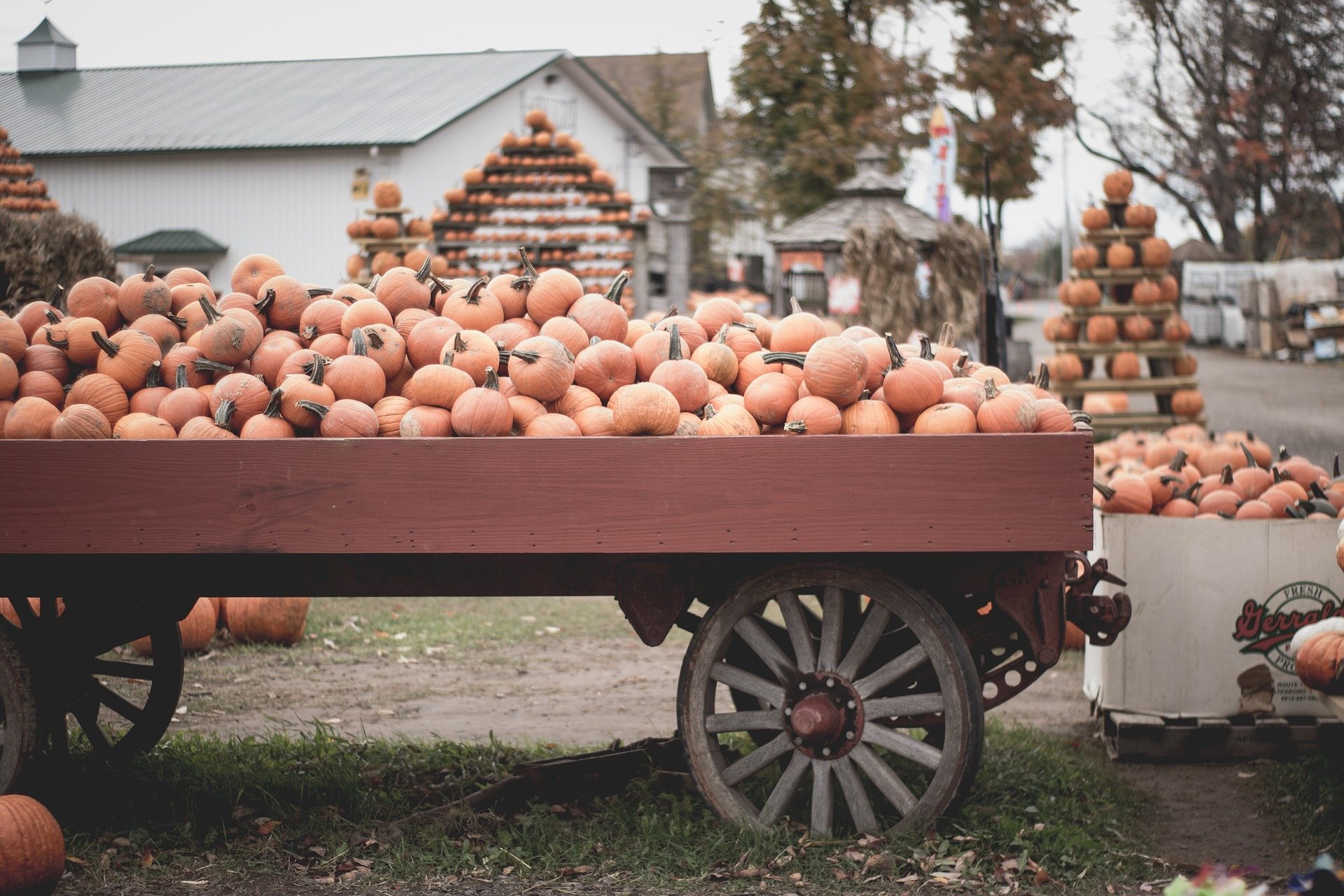 Two Vermont Towns Dubbed Best Spots to Celebrate Halloween in the US